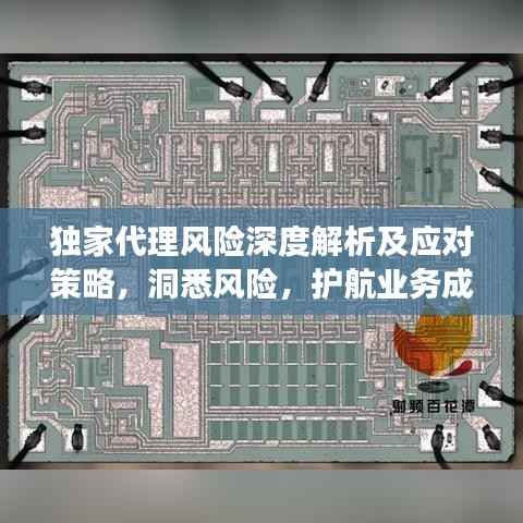 独家代理风险深度解析及应对策略，洞悉风险，护航业务成功！