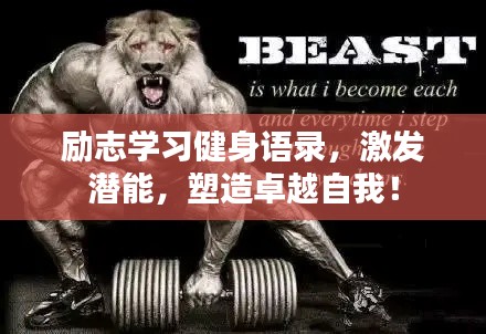 励志学习健身语录,激发潜能,塑造卓越自我!