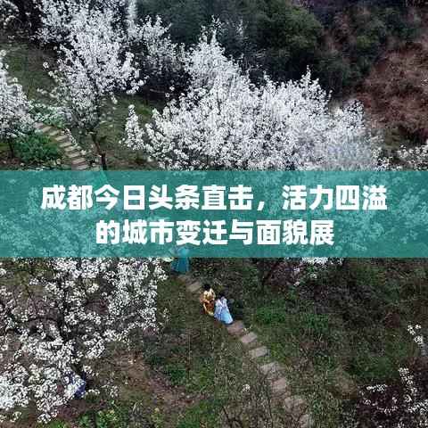 成都今日头条直击,活力四溢的城市变迁与面貌展