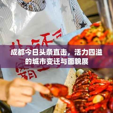 成都今日头条直击,活力四溢的城市变迁与面貌展