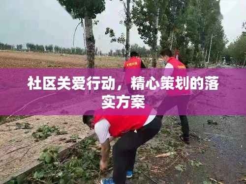 社区关爱行动,精心策划的落实方案