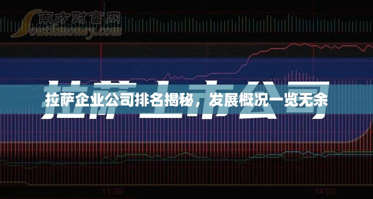 拉萨企业公司排名揭秘,发展概况一览无余