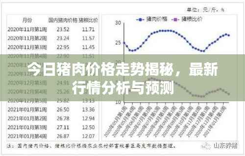 今日猪肉价格走势揭秘,最新行情分析与预测
