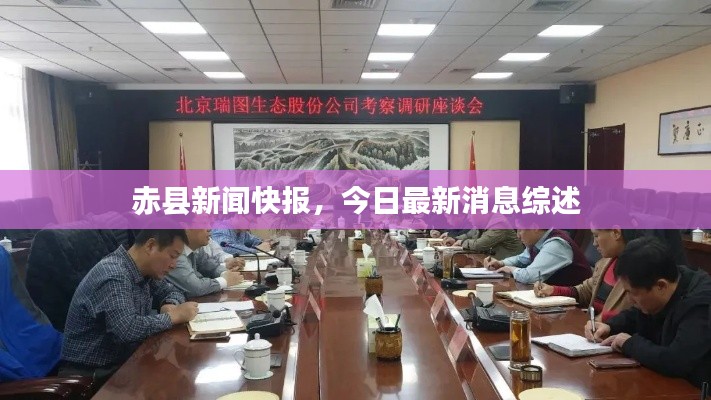 赤县新闻快报，今日最新消息综述
