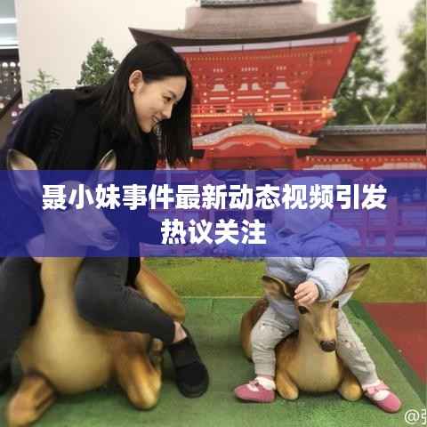 聂小妹事件最新动态视频引发热议关注