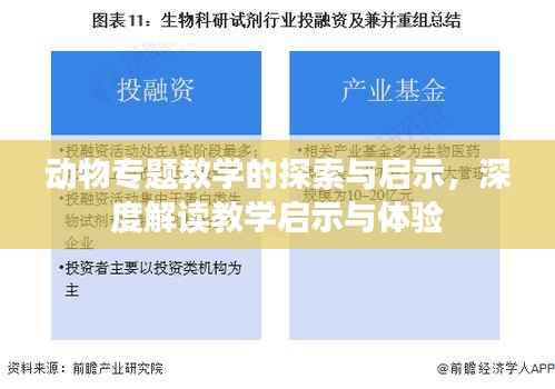 动物专题教学的探索与启示，深度解读教学启示与体验