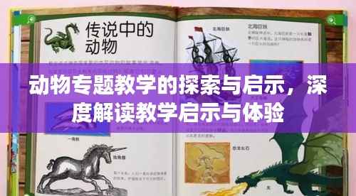 动物专题教学的探索与启示,深度解读教学启示与体验