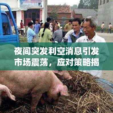 夜间突发利空消息引发市场震荡,应对策略揭秘