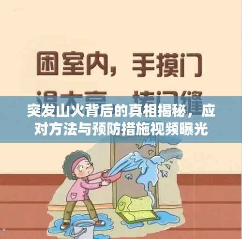 突发山火背后的真相揭秘，应对方法与预防措施视频曝光
