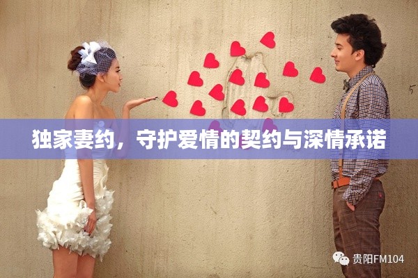 独家妻约,守护爱情的契约与深情承诺