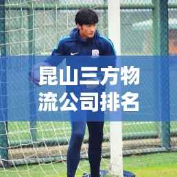 昆山三方物流公司排名大揭秘,权威榜单,不容错过!