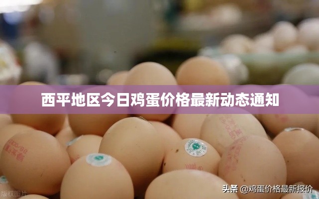 西平地区今日鸡蛋价格最新动态通知