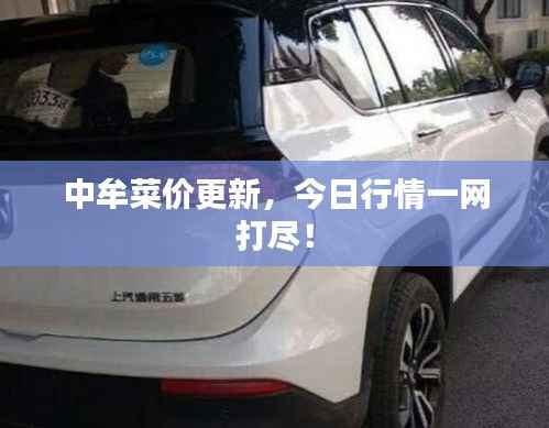 随圆就方 第4页