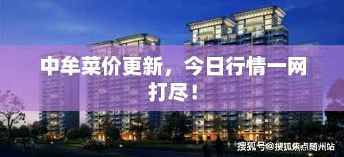 中牟菜价更新,今日行情一网打尽!