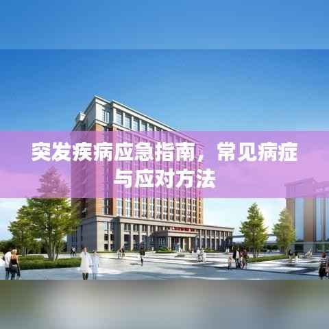 突发疾病应急指南,常见病症与应对方法