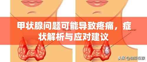 甲状腺问题可能导致疼痛,症状解析与应对建议