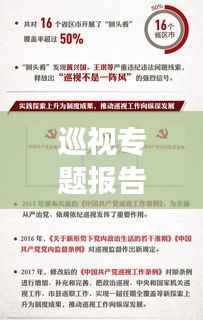 巡视专题报告揭秘，深化党内监督，推动全面从严治党深入基层