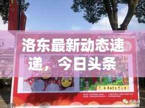 洛东最新动态速递,今日头条揭秘最新消息