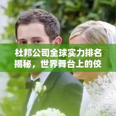杜邦公司全球实力排名揭秘,世界舞台上的佼佼者
