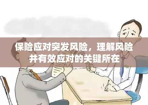 保险应对突发风险，理解风险并有效应对的关键所在