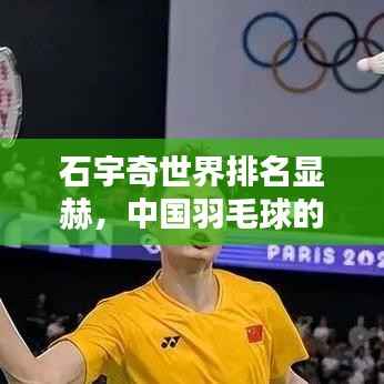 石宇奇世界排名显赫,中国羽毛球的荣耀之星