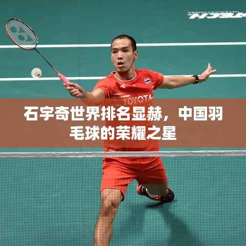 石宇奇世界排名显赫,中国羽毛球的荣耀之星