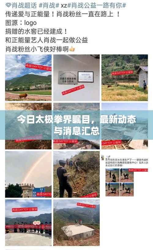 今日太极拳界瞩目,最新动态与消息汇总