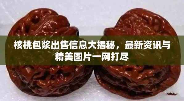核桃包浆出售信息大揭秘，最新资讯与精美图片一网打尽