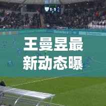 王曼昱最新动态曝光,今日最新消息汇总