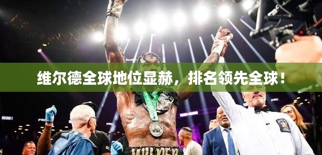 维尔德全球地位显赫,排名领先全球!