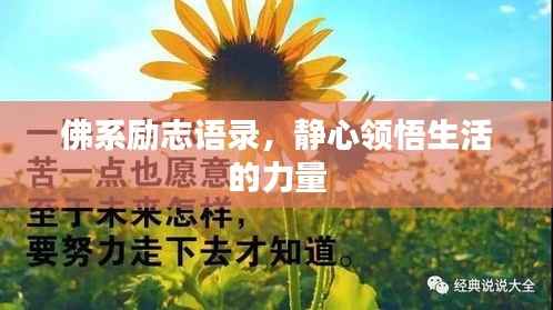 佛系励志语录,静心领悟生活的力量