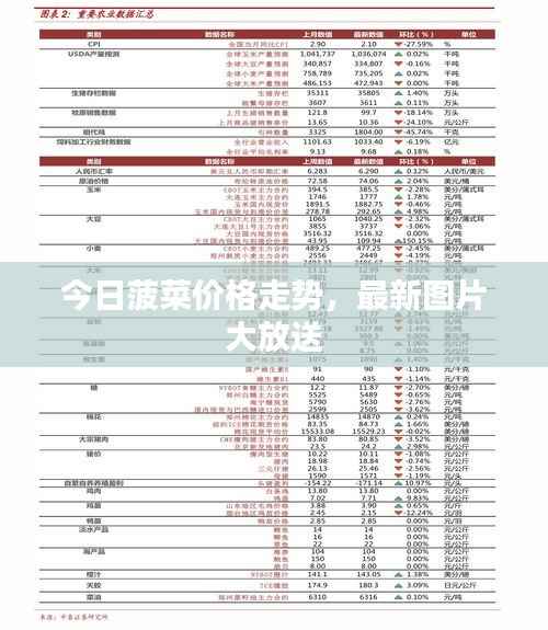 今日菠菜价格走势，最新图片大放送