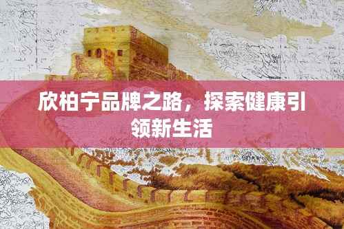 欣柏宁品牌之路,探索健康引领新生活