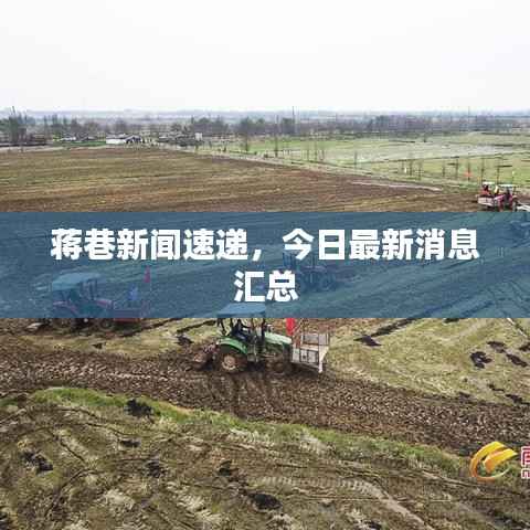 蒋巷新闻速递,今日最新消息汇总