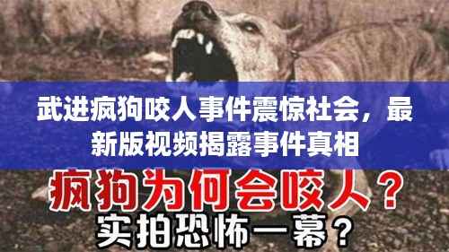 武进疯狗咬人事件震惊社会,最新版视频揭露事件真相