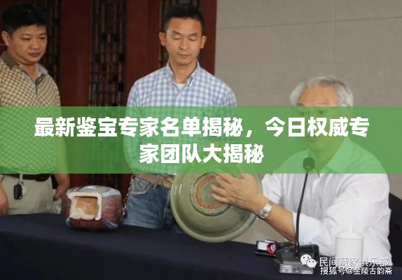 最新鉴宝专家名单揭秘,今日权威专家团队大揭秘