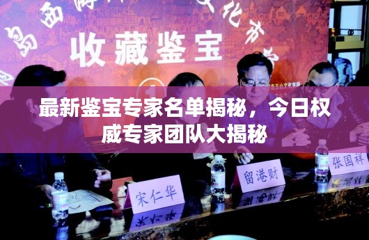 最新鉴宝专家名单揭秘,今日权威专家团队大揭秘