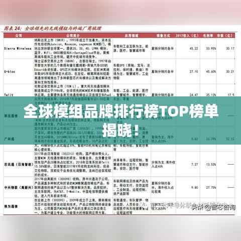 全球模组品牌排行榜TOP榜单揭晓！