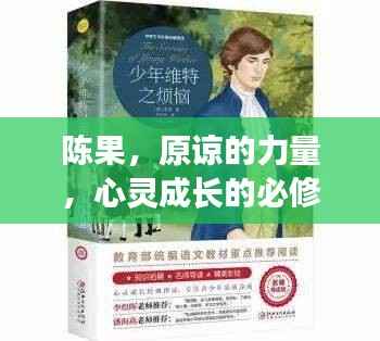 听见风就是雨 第4页