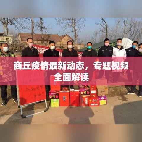 商丘疫情最新动态,专题视频全面解读