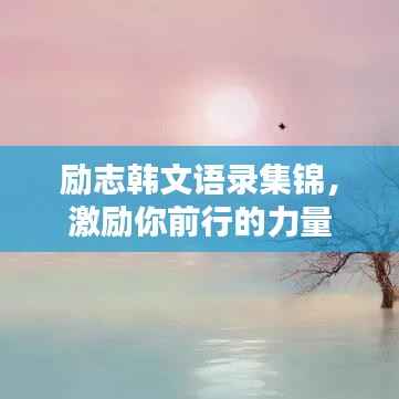 励志韩文语录集锦,激励你前行的力量