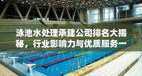 泳池水处理承建公司排名大揭秘，行业影响力与优质服务一览