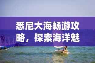 悉尼大海畅游攻略,探索海洋魅力,尽享海滨风情!