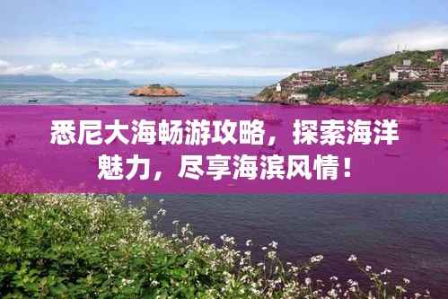 悉尼大海畅游攻略,探索海洋魅力,尽享海滨风情!
