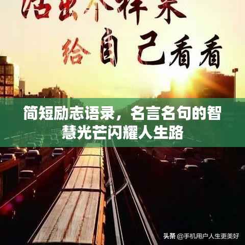 简短励志语录,名言名句的智慧光芒闪耀人生路