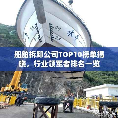 船舶拆卸公司TOP10榜单揭晓,行业领军者排名一览