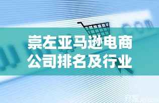 崇左亚马逊电商公司排名及行业影响力揭秘