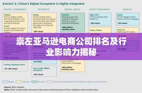 崇左亚马逊电商公司排名及行业影响力揭秘