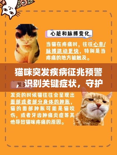 猫咪突发疾病征兆预警,识别关键症状,守护爱宠健康!