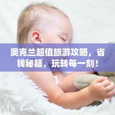 奥克兰超值旅游攻略，省钱秘籍，玩转每一刻！